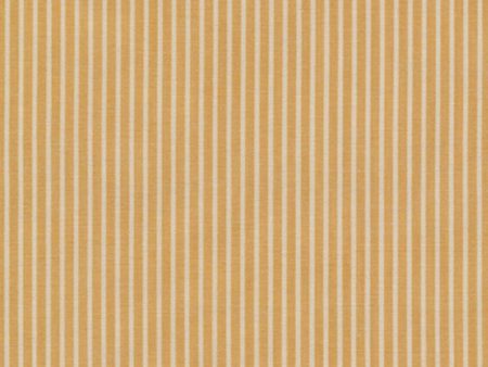 Crawford Stripes in Mustard Hot on Sale