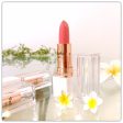 Fresh Natural  Organic Lipstick (6 shades) Online Sale