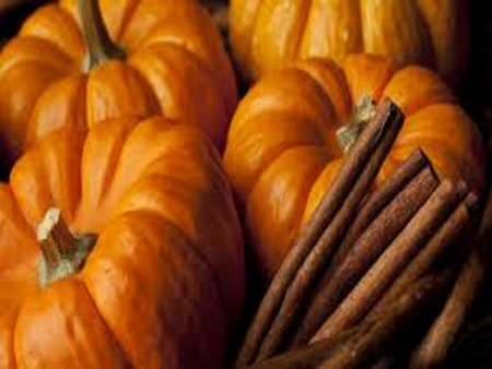 Pumpkin Spice Type Fragrance Oil Fashion