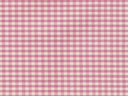 Crawford Gingham 1 8  in Violet Cheap