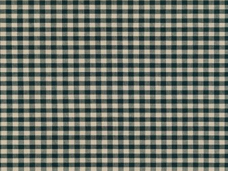 Crawford Gingham 1 8  in Forest Cheap