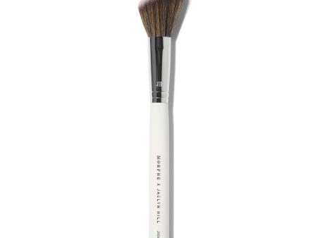 MORPHE X JACLYN HILL JH04 BLUSH BRUSH Discount