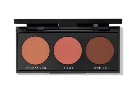 3B PURE NUDE EYESHADOW PALETTE Online now