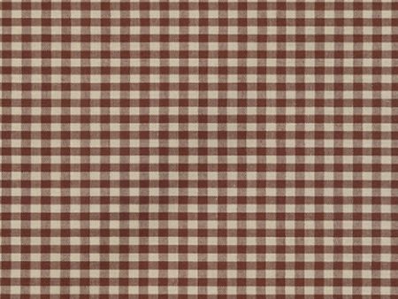 Crawford Gingham 1 8  in Brown Fashion