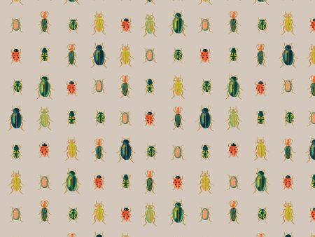 Beetles & Bugs in Khaki Metallic For Cheap