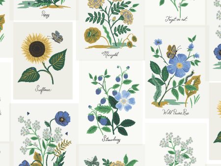 Botanical Prints in Blue Multi Online Sale