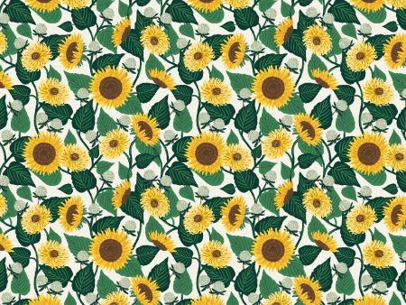 Sunflower Fields in Cream Online Sale